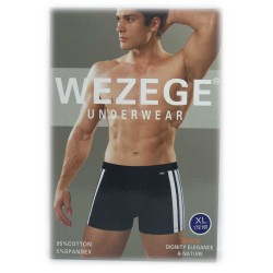 трусы мужские *WEZEGE* (р.L/XL/2XL/3XL) 25922