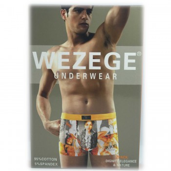 Трусы мужские *WEZEGE* (р.L/XL/2XL/3XL) 25965